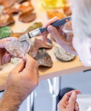 Wienerberg Wohn- und Pflegehaus Bild 13