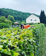 Gartenservice Mark Miess Bild 21