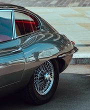 Shala Transporte Bild 4