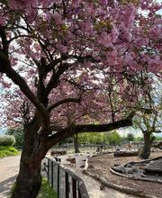 Tierpark Nadermann Bild 6