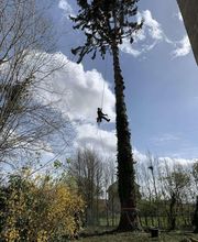 Jardins Arborés image 4