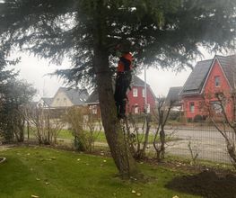 HDS Hausmeisterdienste Falko Stange Bild 1