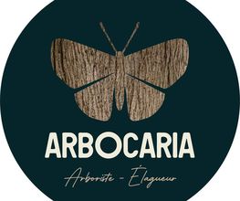 Arbocaria image 9