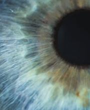 Naturheilpraxis Katrin Leibundgut Bild 4