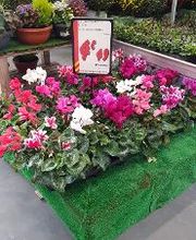 Bricomarché Saint-Pourçain-Sur-Sioule image 14