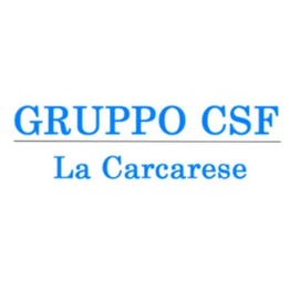 Gruppo Csf - La Carcarese logo