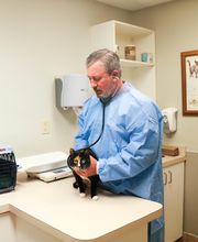 Palmetto Animal Hospital image 20