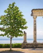 Helvet-immo SA Bild 3