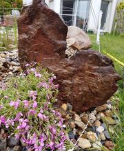 20190515_105928_resized.jpg