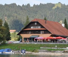 Grüene Aff Bild 1