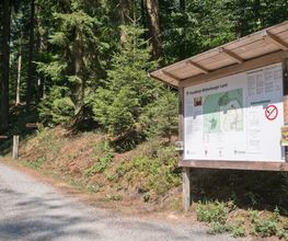 Die Infotafel direkt am Parkplatz gibt einen guten Überblick über den weitläufigen Wald.