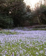 Hunziker Garten AG Bild 3