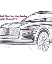 Black Chauffeur Limo Service image 10