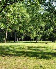 L'Eveil des Sens image 2