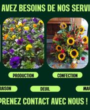 Jardinerie Fleuristerie Hämmerli SNC Bild 2