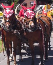 schuler-transporte.ch gmbh Bild 5