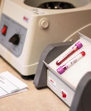 TotalBond Veterinary Hospital at Bethel image 19