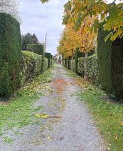 BEN PAYSAGE image 5