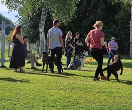 Educ Love Dog image 3