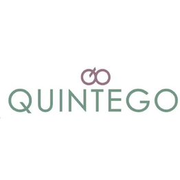 Quintego Riskmanagement & Investigation