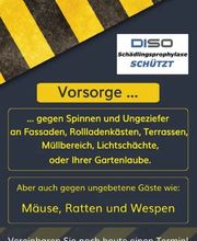 DISO Schädlingsbekämpfung Bild 9