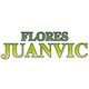 logojuanvic.png