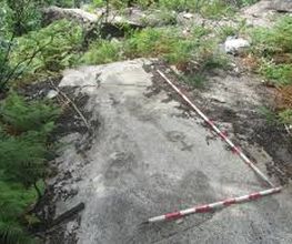 foto1.jpg