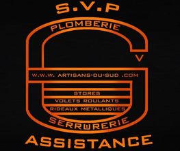 SVP Assistance image 2