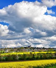 Stefan Hörsch gewerbliche Dienstleistungen in Land und Forstwirtschaft Bild 2