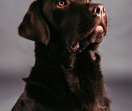 Milow