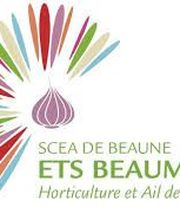 SCEA DE BEAUNE image 2