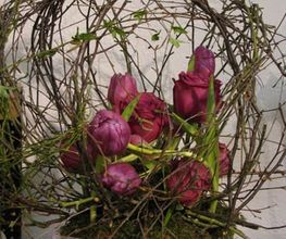 Blumen Siebrecht Bild 3
