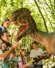 Dinosaurierpark Teufelsschlucht Bild 2