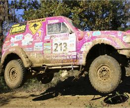 New Look 4X4 image 1