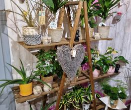 Flore et Sens image 13