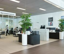 AMAG Winterthur Audi / Škoda Bild 12
