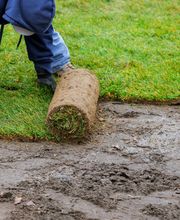 Günay Özdemir Gartenbau Bild 2