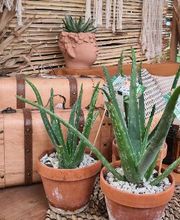 VillaVerde Bourg-en-Bresse image 14