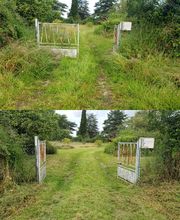 Ted Multiservices image 13