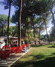 Pinar_Camping_Dehesa_Nueva_Aznalcazar.jpg