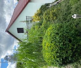 Haus- und Gartenservice - Mittelfranken Pavel Vostarek Bild 3