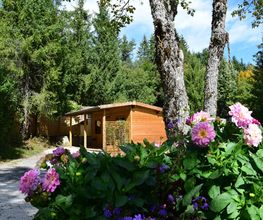 Camping de la Forêt image 5