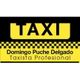 logo_taxi_domingo.jpg