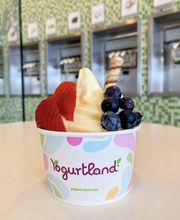 Yogurtland Midtown image 9