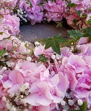 Blumengeschäft Löwenzahn Bild 9