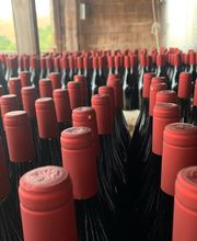 Captain Vineyards image 12