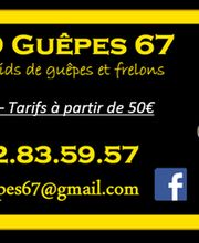 Halt'O Guêpes 67 image 3