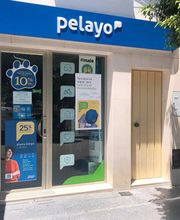 Oficina Seguros Pelayo imagen 1