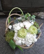 Pougary Marie image 14