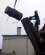 Léger Nicolas image 2